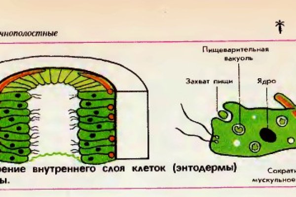 Кракен маркетплейс это