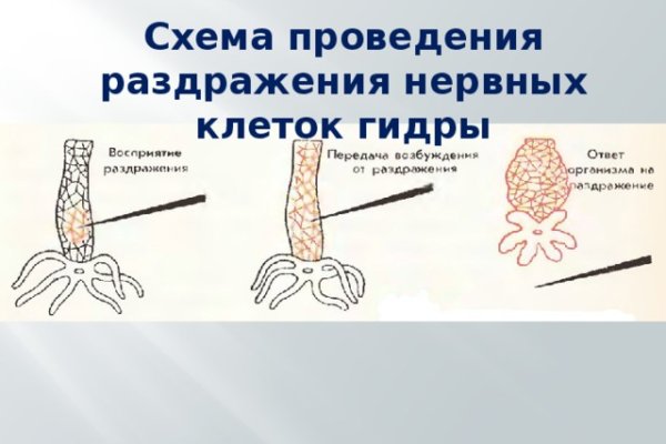 Сайт кракена актуальный