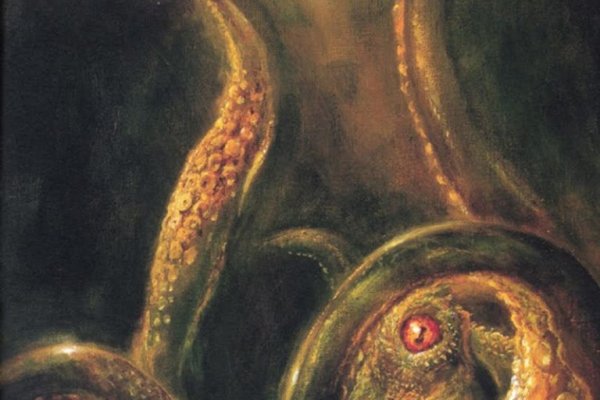 Kraken площадка