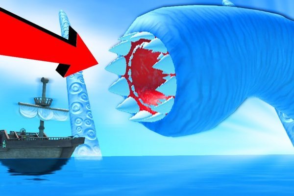 Kraken 17 at net
