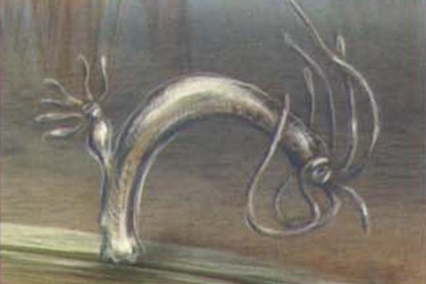 Kraken рабочий