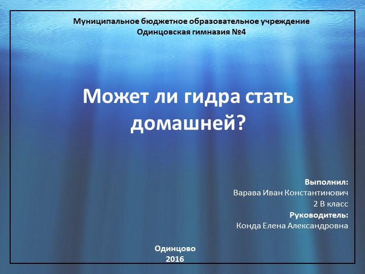 Kraken дарк магазин