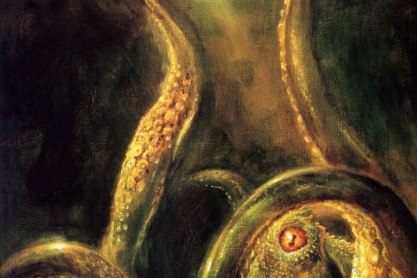Kraken onion вход