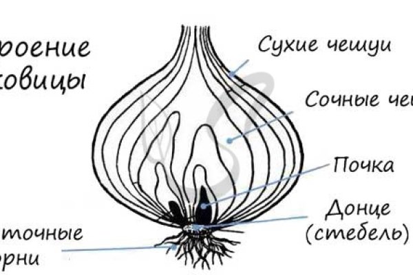 Ссылка на сайт кракен в тор браузере