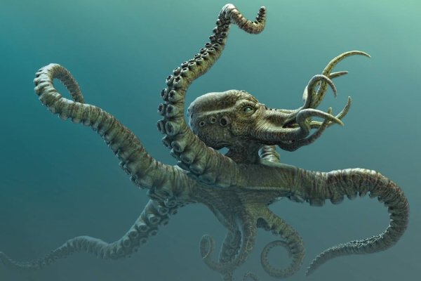 Kraken ссылки актуальные 2025 г