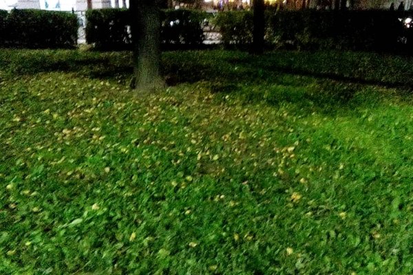 Кракен ссылка 25