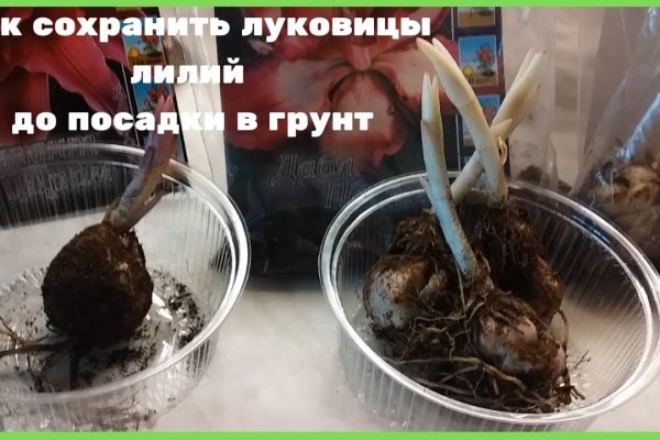 Что такое кракен в интернете