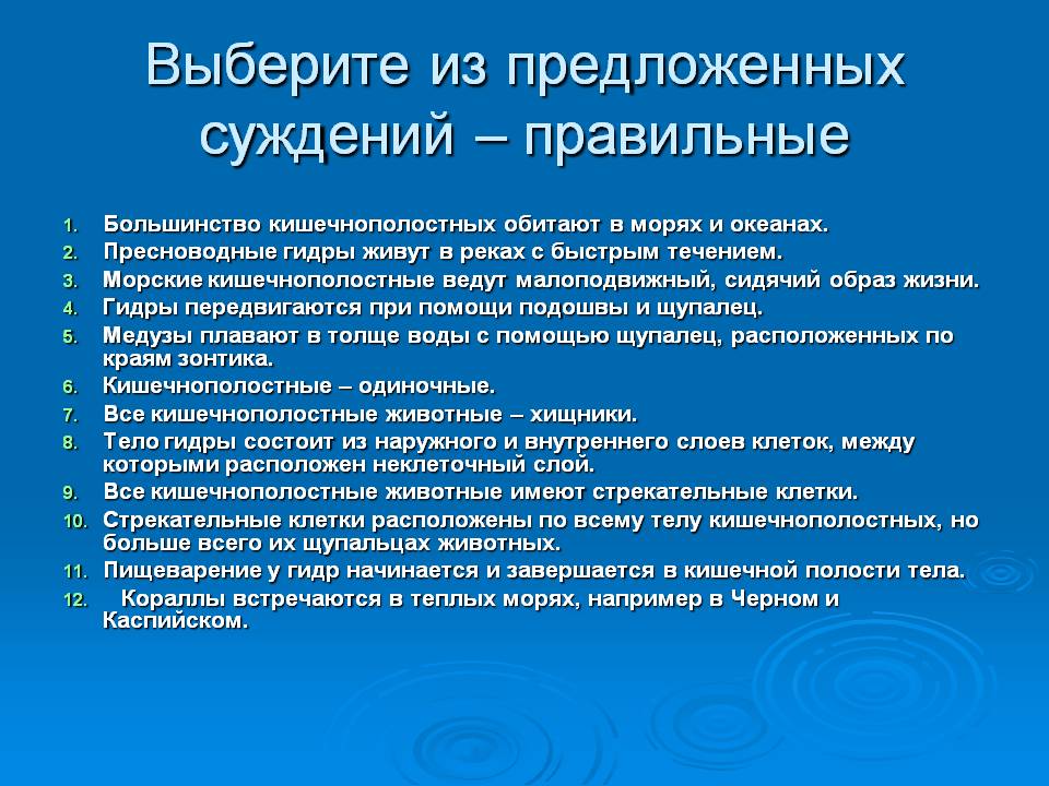 Кракен маркетплейс отзывы